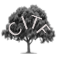 citf draft logo
